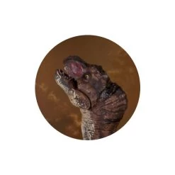 Dinowelt 2er Spielset - 25102 -Zapf Creation Store 4016096251024 dinosaurier b 24219 b 25102 01 1