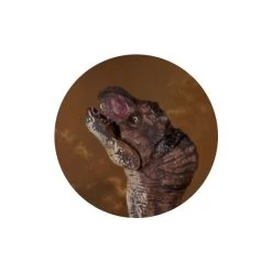 Dinowelt 3er Spielset - 24219 -Zapf Creation Store 4016096251024 dinosaurier b 24219 b 25102 01